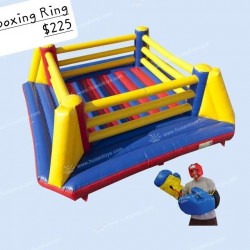 Boxing Ring Interactive Game