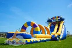 20ft Dolphin Rush Water Slide