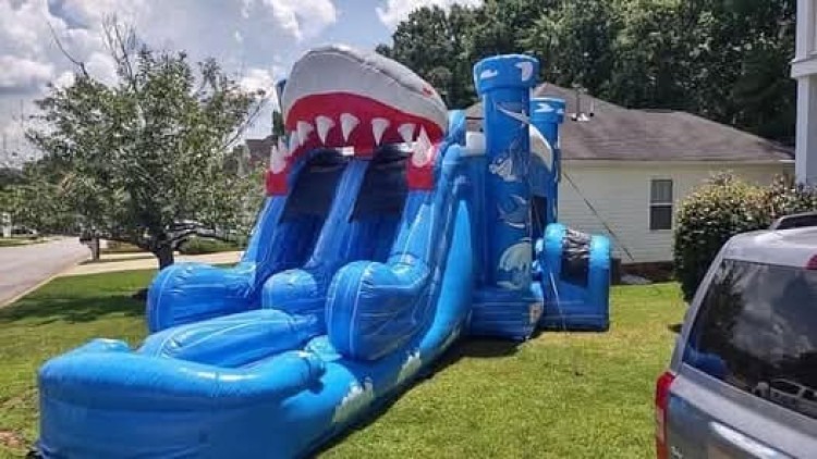 Shark Comboslide